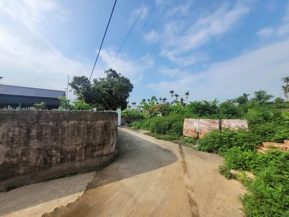 Đất nền Vĩnh Hải, Vĩnh Bảo 490m² giá thỏa thuận - Đường ô tô vào tận nơi!