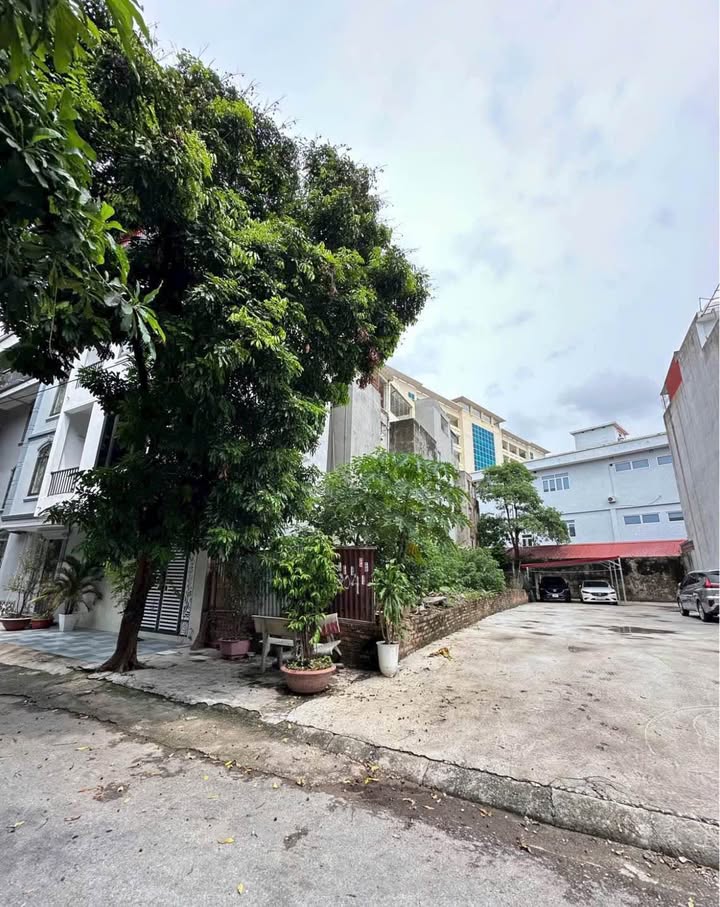 Đất mặt đường Lê Văn Thuyết, Hải Phòng 143m² giá 7.15 tỷ - Vị trí đẹp cho văn phòng, cơ sở lưu trú!