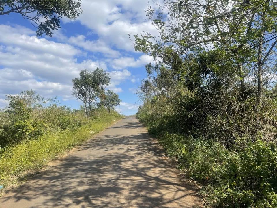 Đất nền 150m² mặt tiền Nguyễn Tuân, An Phú, Pleiku - Giá chỉ 800 triệu