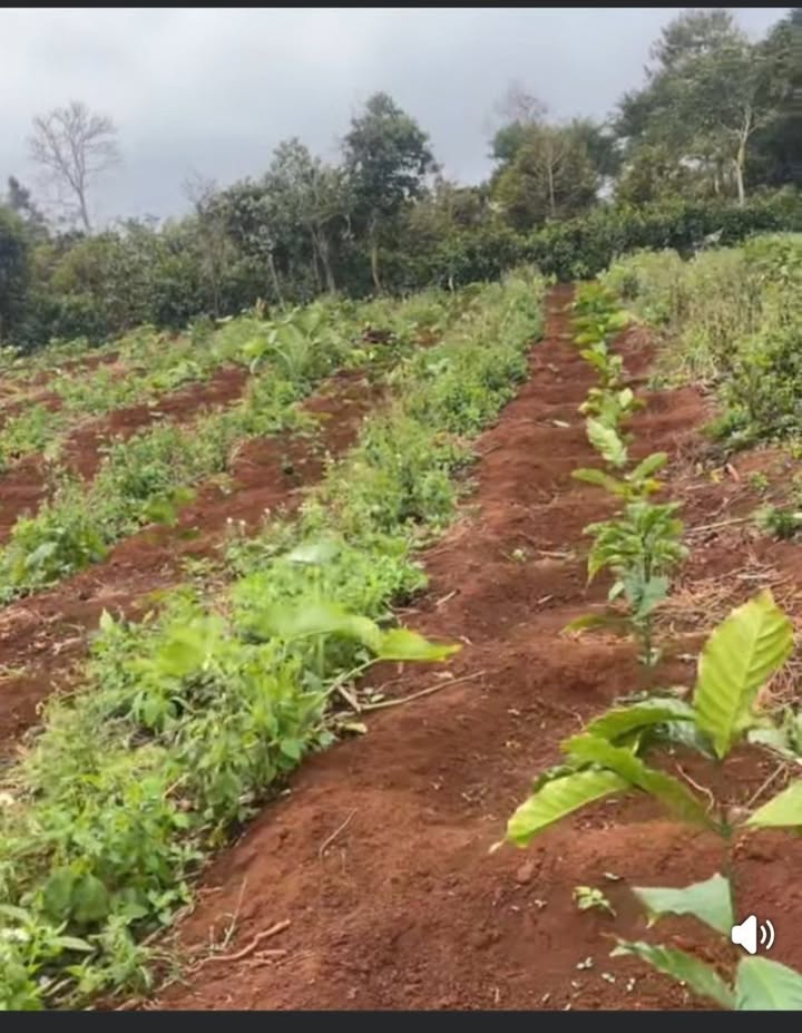 Đất nền Cư Bao, Buôn Hồ 12.600m² giá thỏa thuận - Cơ hội đầu tư vàng!