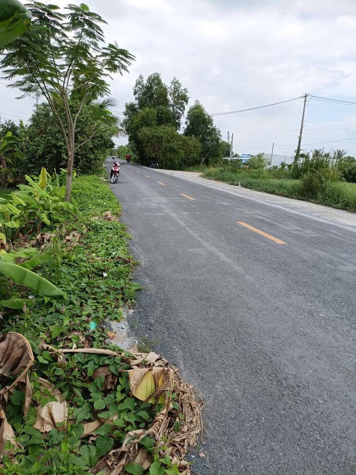 Đất nền 4665m² tại Cà Mau - Pháp lý rõ ràng, đầu tư sinh lời!