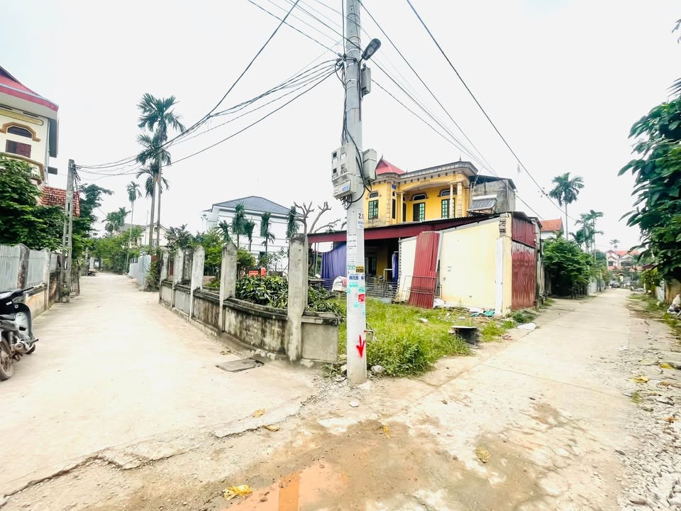 Đất ở Nông Thôn CD Quán Trạch - 52m² giá 2 tỷ - Đầu tư sinh lời ngay!