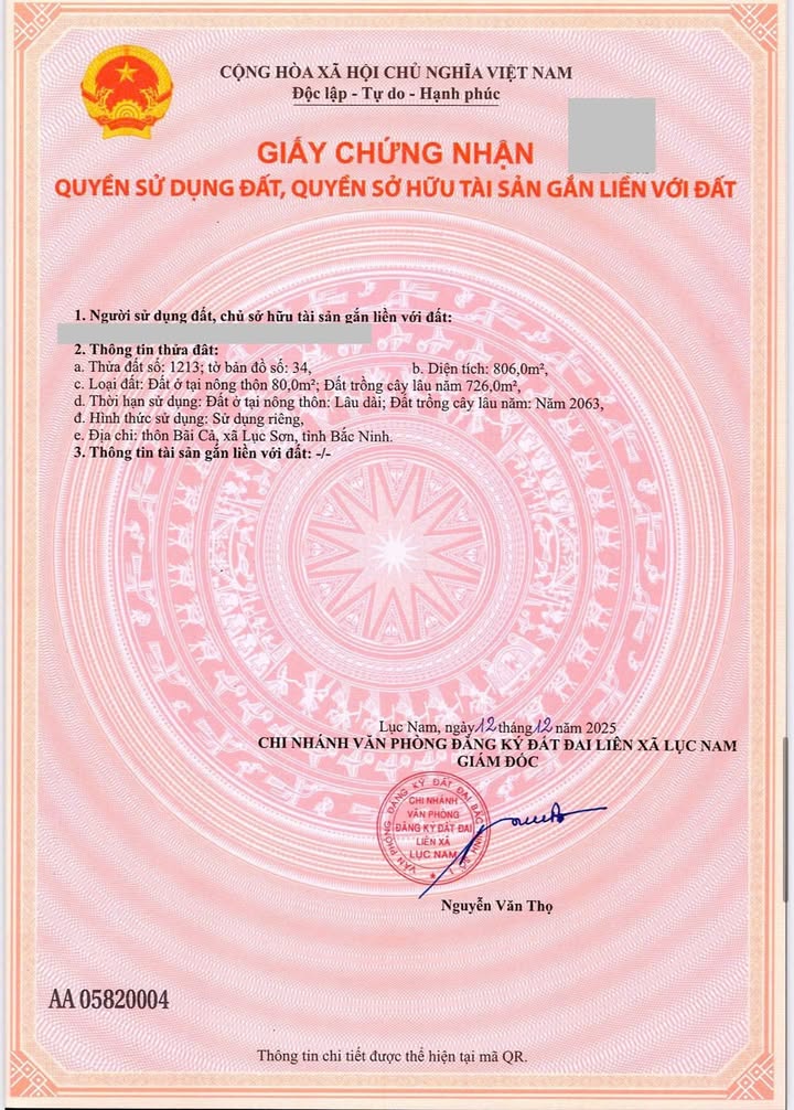 Đất nền Lục Sơn, Lục Nam 800m² giá 600 triệu - Cơ hội đầu tư sinh lời cao!