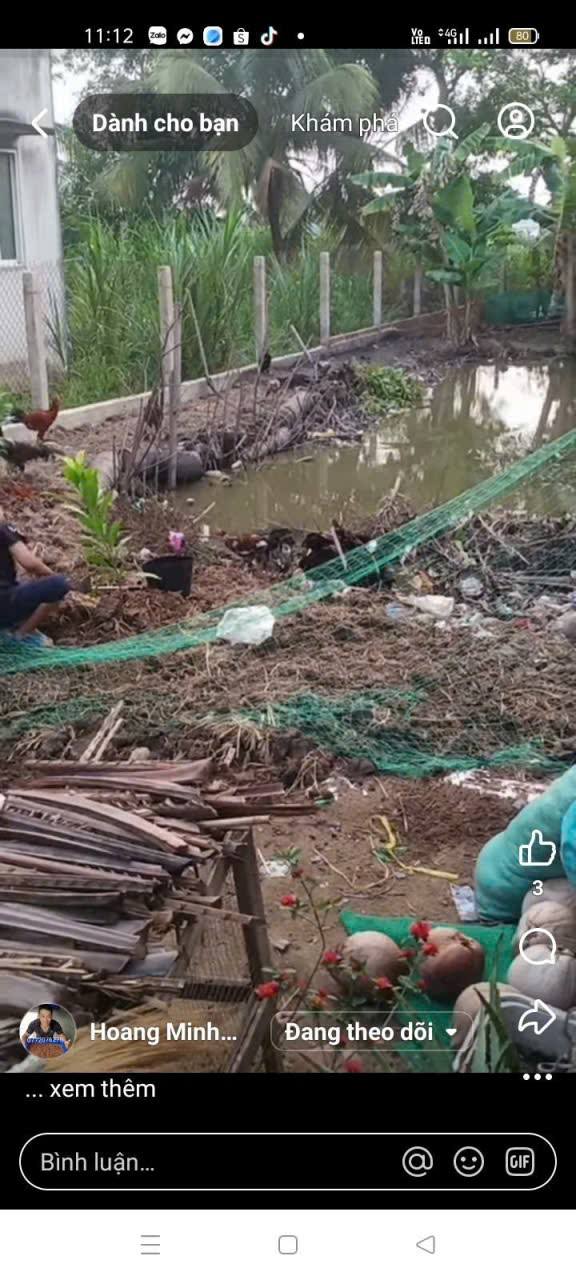 Đất thổ cư Ấp Ngãi Lợi B, Tân An 192m² giá 500 triệu - Cơ hội đầu tư tuyệt vời!