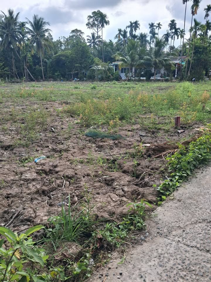 Đất nền Ngãi Tứ Vĩnh Long 300m² chỉ 200 triệu - Đầu tư sinh lời hấp dẫn!