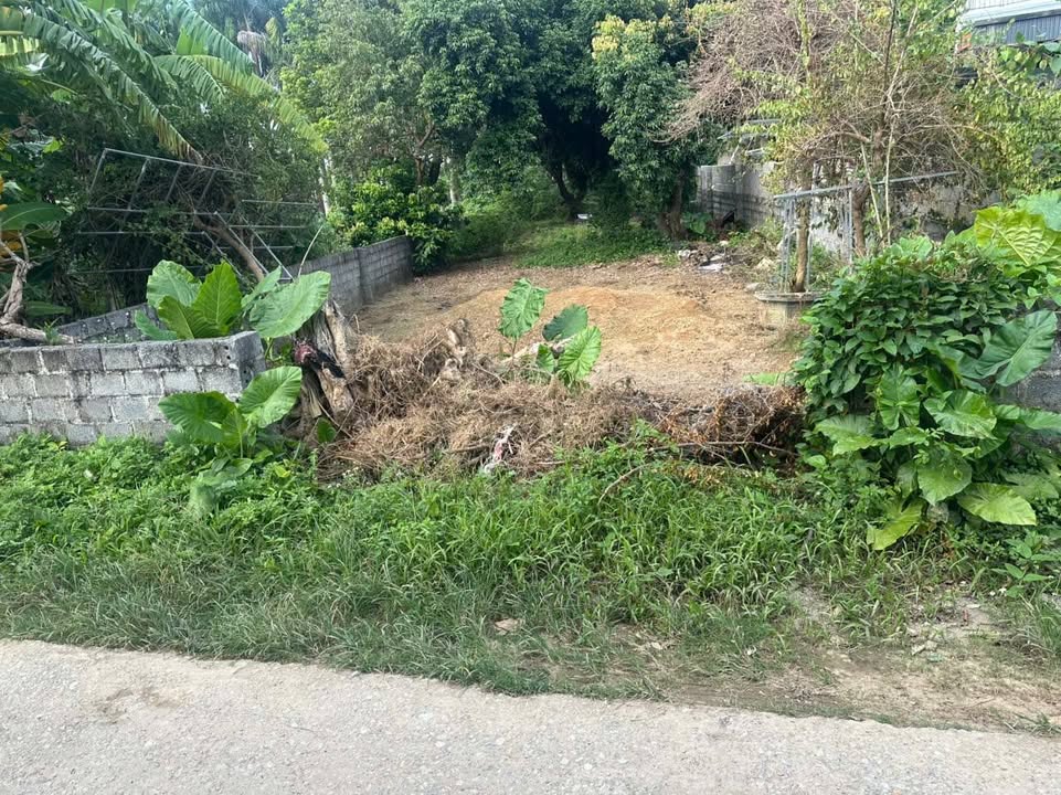 Đất thổ cư 383m² Nhuận Trạch Hòa Bình - Giá tốt, đầu tư tiềm năng!