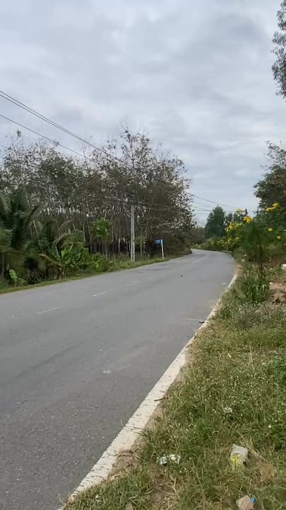 Đất nền Phước Hoà, Phú Giáo 330m² giá 2 tỷ - Đầu tư sinh lời ngay!