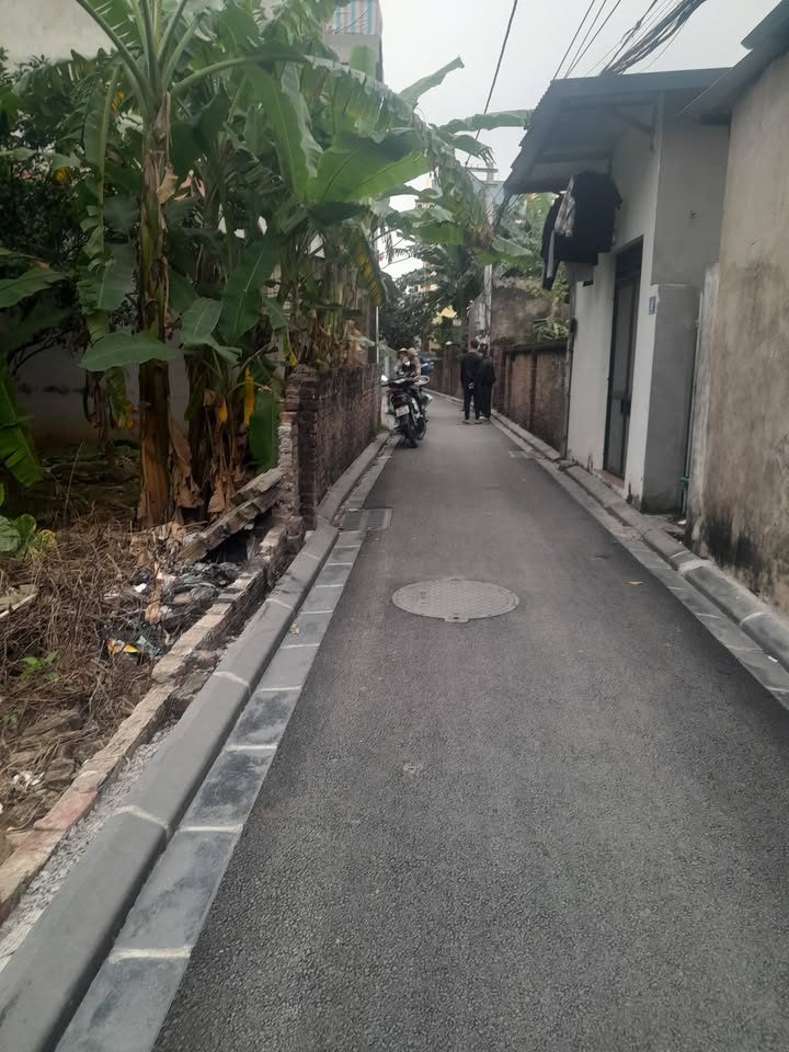 Đất nền Thiên Lộc Đông Anh 44m² giá 3 tỷ - Đầu tư sinh lời ngay!