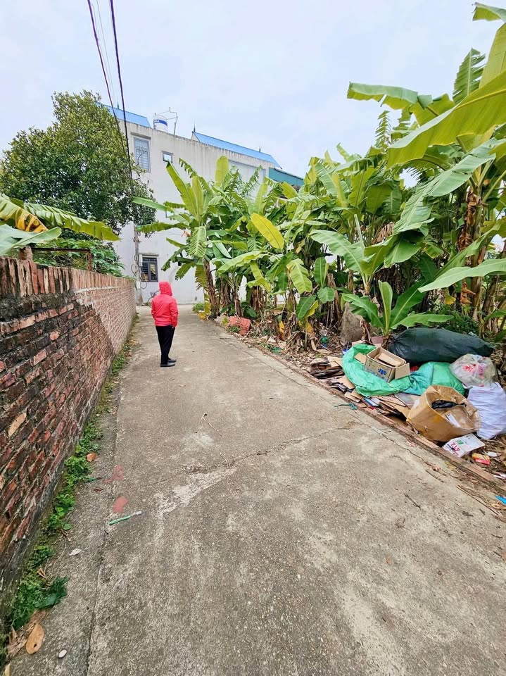 Đất nền Tiên Dược, Sóc Sơn 64.5m² - Ô tô vào tận nơi, giá chỉ 2.xx tỷ!