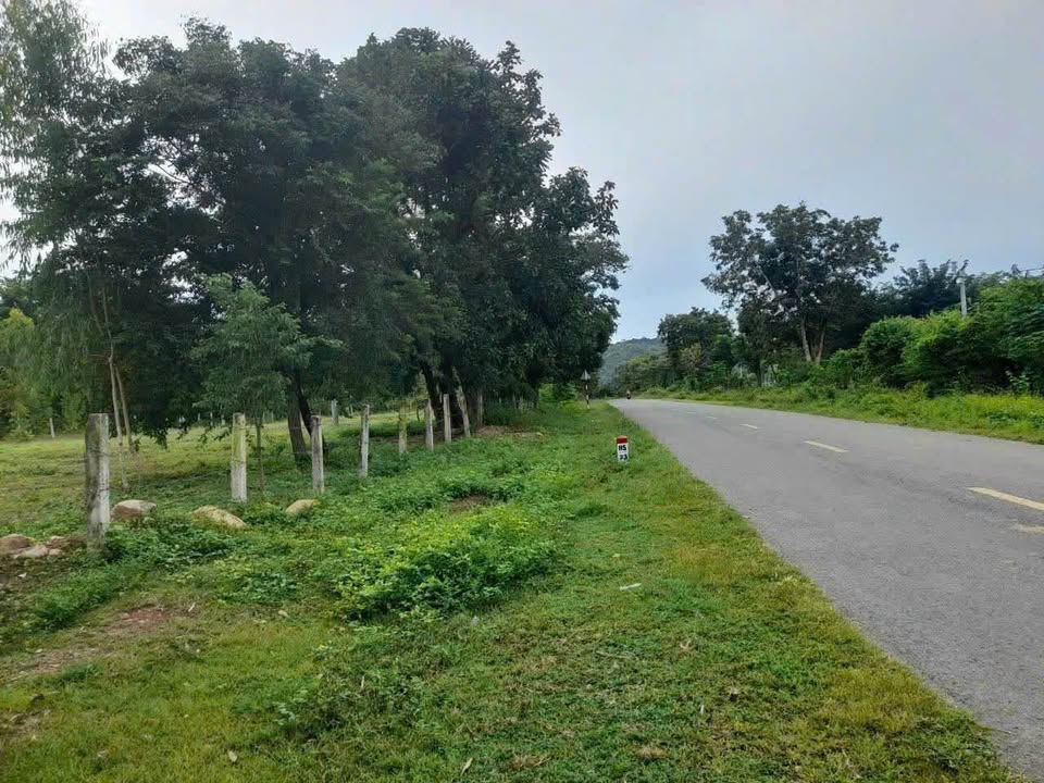 Đất bán mặt tiền QL28 Bình Thuận 5000m² giá 600 triệu - Cơ hội đầu tư tuyệt vời!