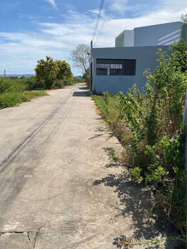 Đất nền Bến Lội Lại An, Hàm Thắng 100m² giá 1.35 tỷ - Cơ hội đầu tư tuyệt vời!