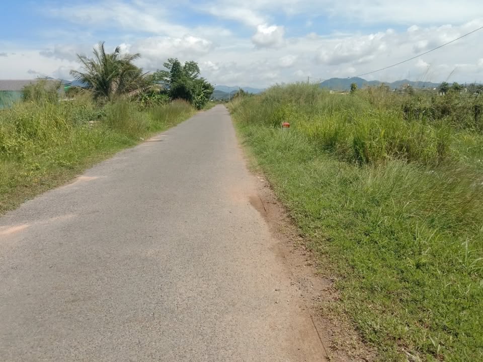 Đất mặt tiền nhựa Thôn Đại Lộc, Bình Thuận 8750m² giá 4 tỷ - Cơ hội đầu tư hấp dẫn!