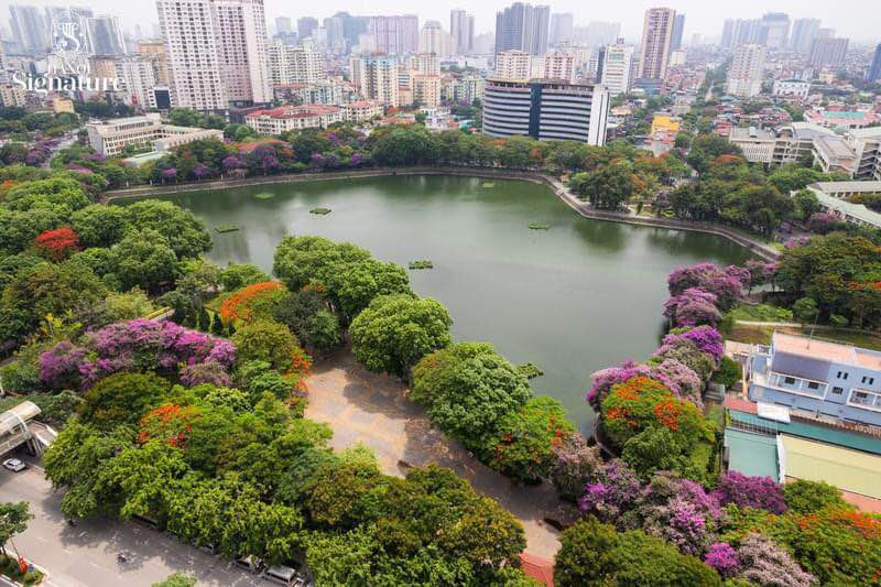 Nhà mặt phố Nghĩa Tân, 30m² giá 17 tỷ - Kinh doanh đỉnh cao!