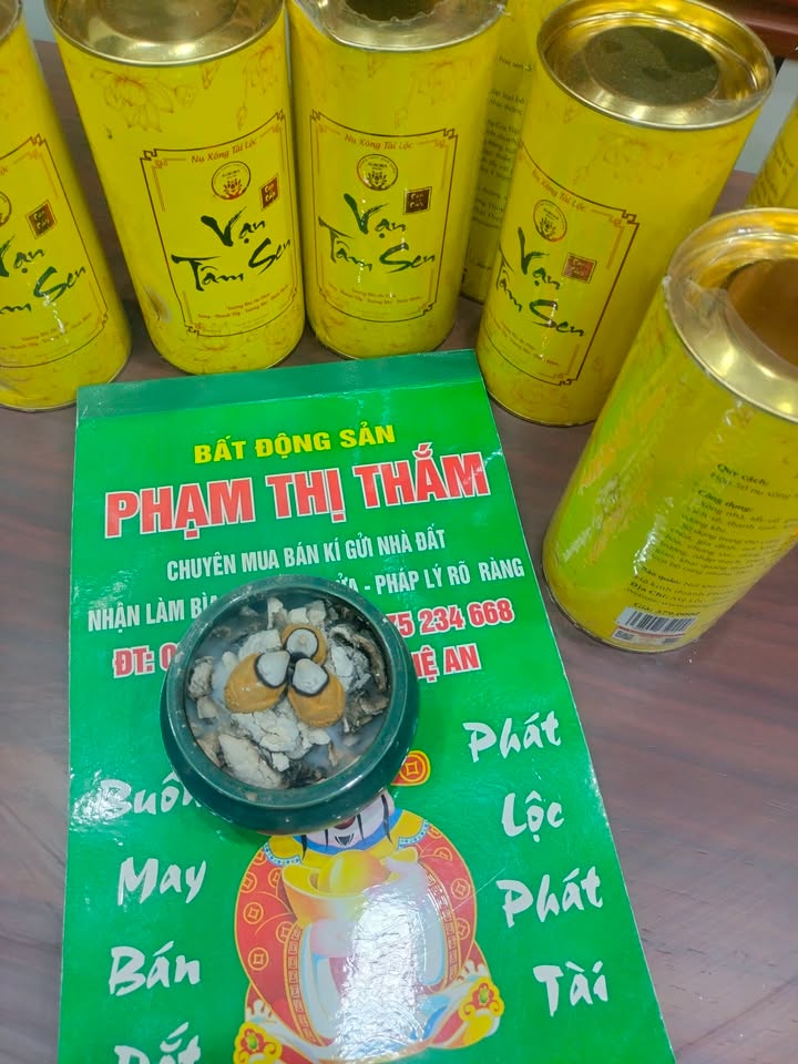 Đất nền Văn Sơn Đô Lương 150m² giá 3.2 tỷ - Khu quy hoạch phát triển!