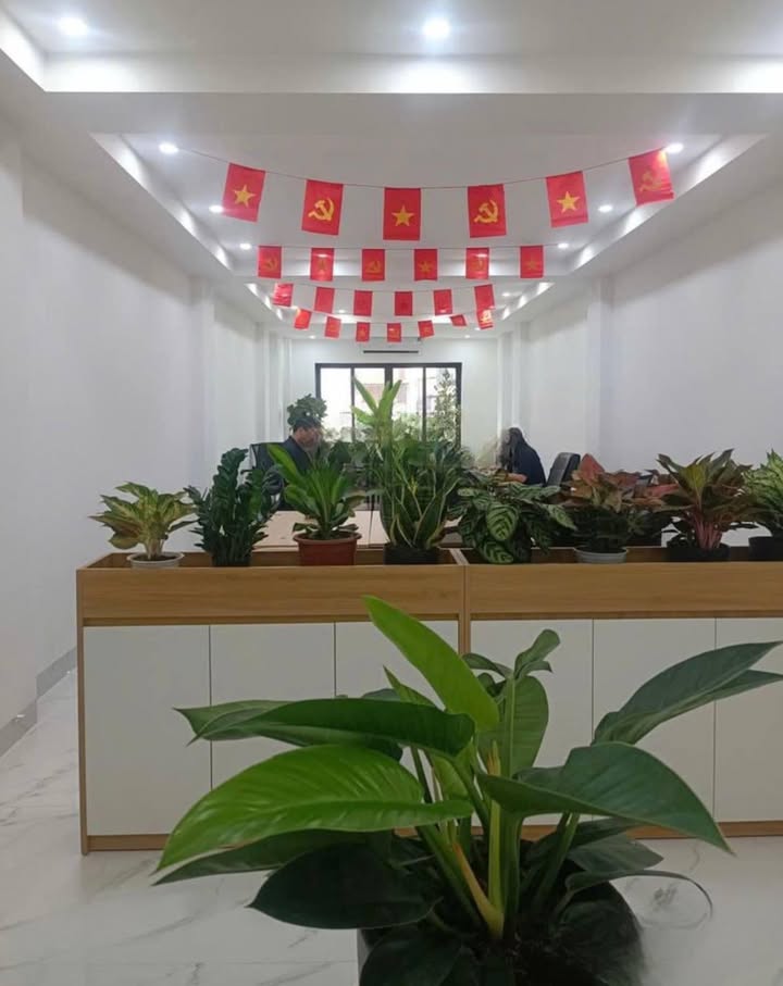 Văn phòng cho thuê tại Tôn Đức Thắng, Đống Đa, 75m² giá 13 triệu - Phù hợp văn phòng, lớp học, spa mini!
