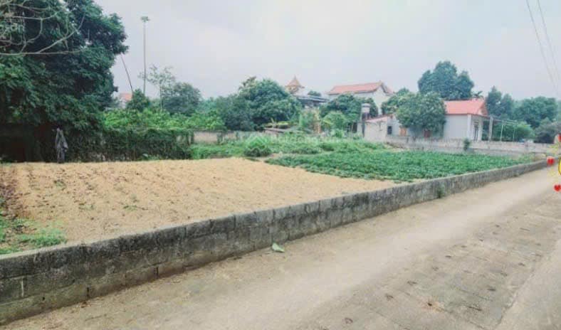 Đất nền lô góc 726m² tại Nam Phương Tiến, Chương Mỹ - Giá thỏa thuận hấp dẫn