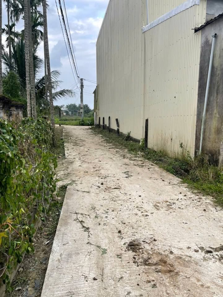 Đất nền Tịnh An, Quảng Ngãi 100m² giá chỉ 600 triệu - Đường ô tô vào tận đất!