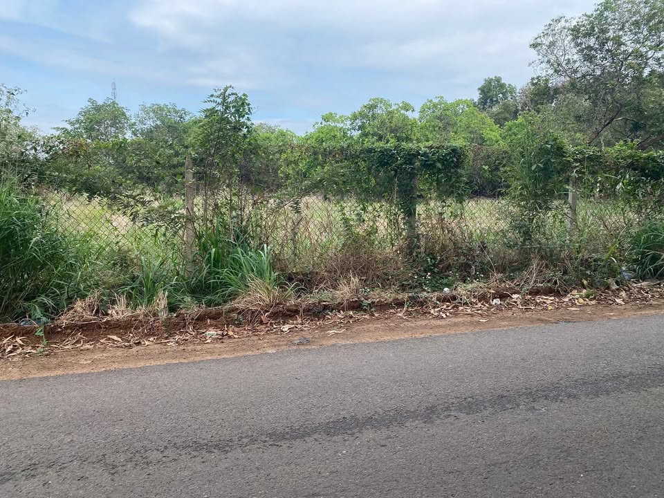 Đất nền 575m² Đông Hòa Trảng Bom giá 4 tỷ - Đầu tư sinh lời nhanh!