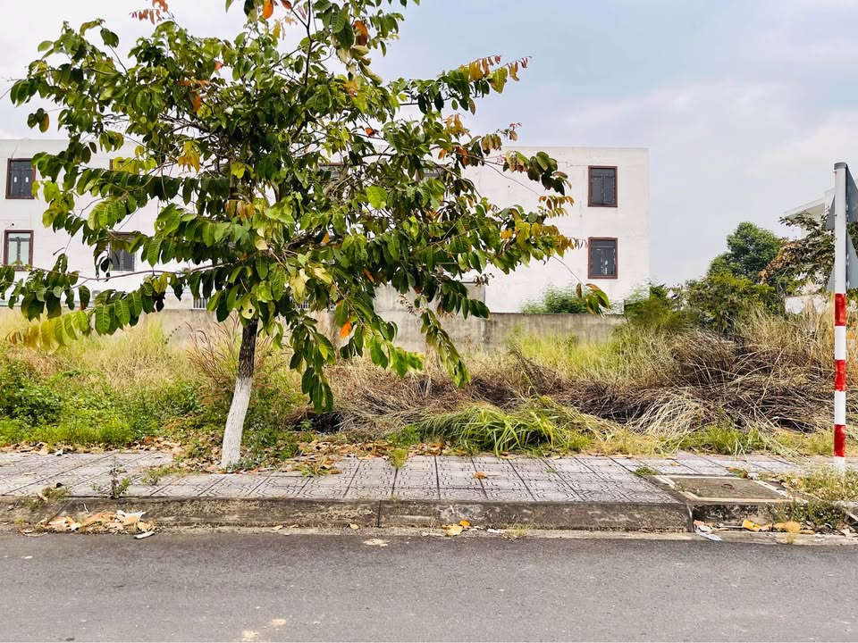 Đất nền Khu đô thị Bàu Xéo 100m² giá 1 tỷ - Đầu tư sinh lời ngay!