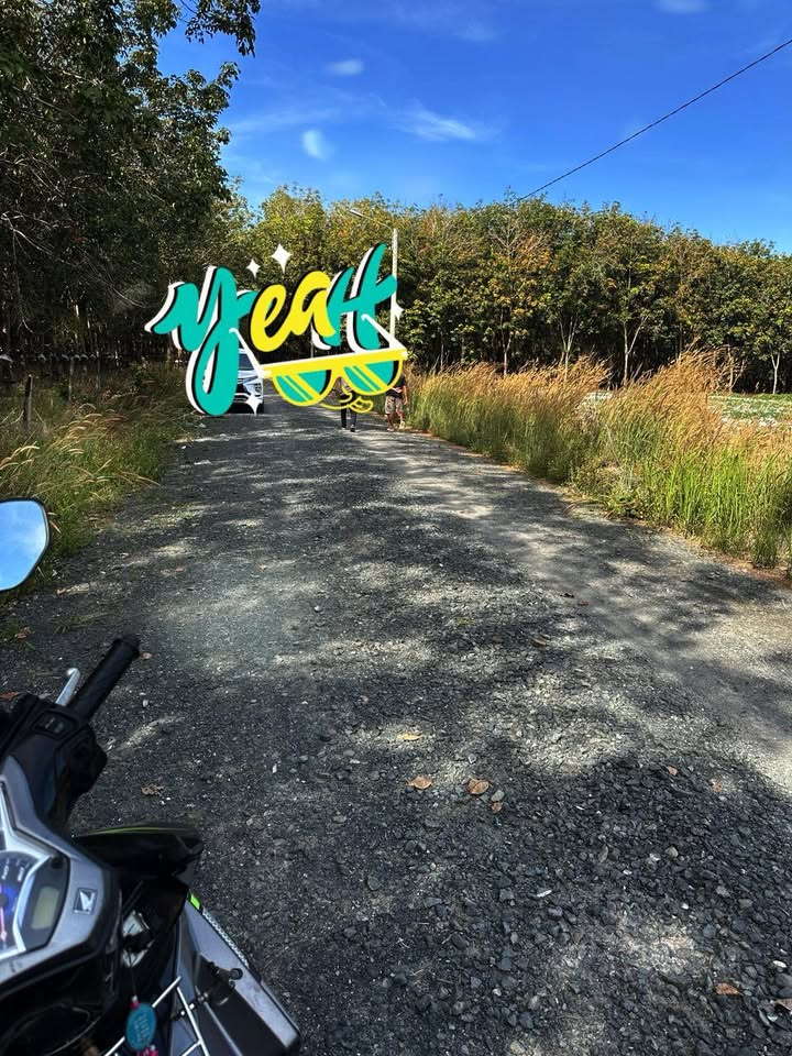 Đất thổ cư Hưng Long, Bình Chánh 10,800m² giá 2.2 tỷ - Sát đường nhựa lớn, vị trí đắc địa!