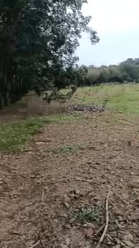 Đất nền 83m² Đường Pê tông, xã Đa Kia, huyện Bù Gia Mập - Giá 2.5 tỷ, đầu tư sinh lời!