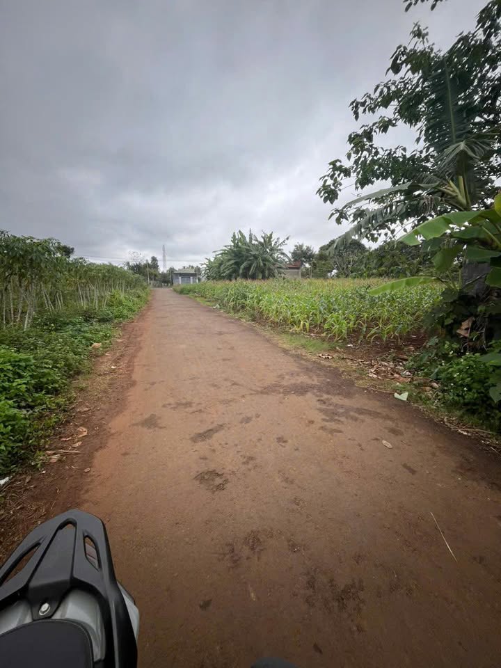 Đất nền Ea Kar 342m² giá 2.16 tỷ - Mặt tiền đường Nguyễn Công Trứ