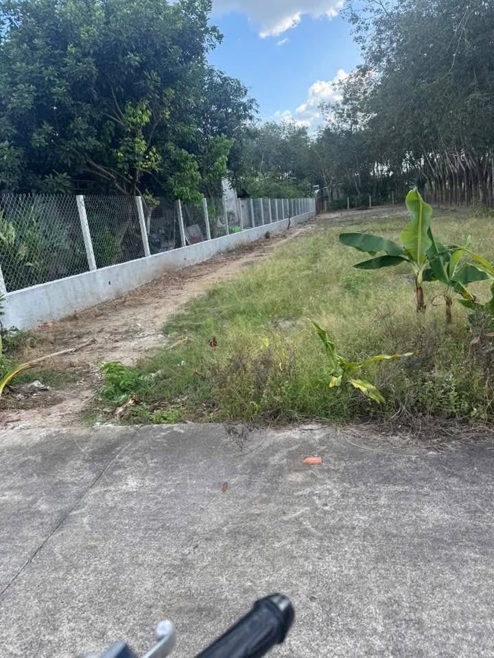 Đất nền Tân Hiệp, Phú Giáo 720m² chỉ 1.6 tỷ - Đối diện cafe đất vàng!