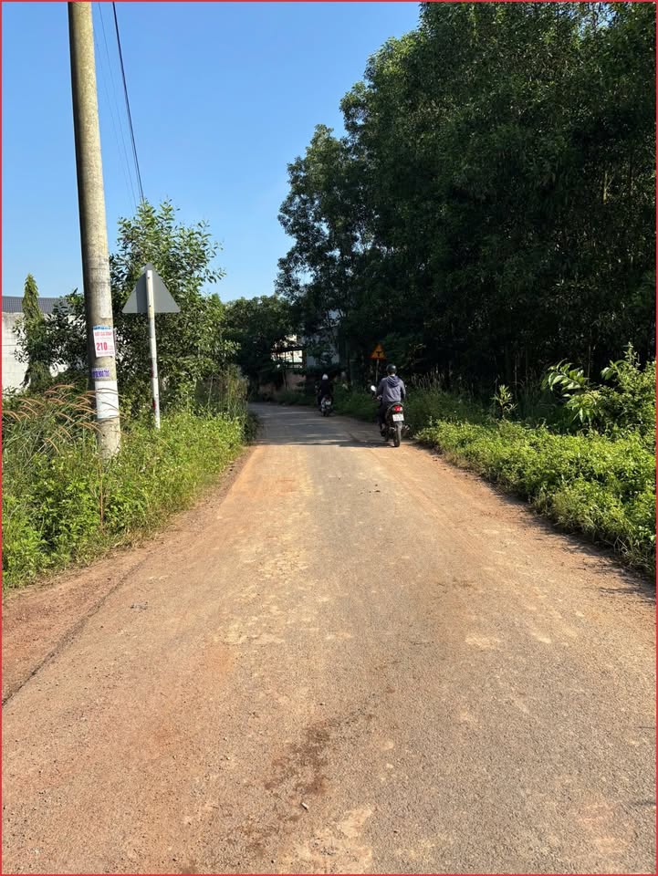 Đất nền chính chủ An Viễn 110m² giá chỉ 850 triệu - Tiềm năng sinh lời cao!