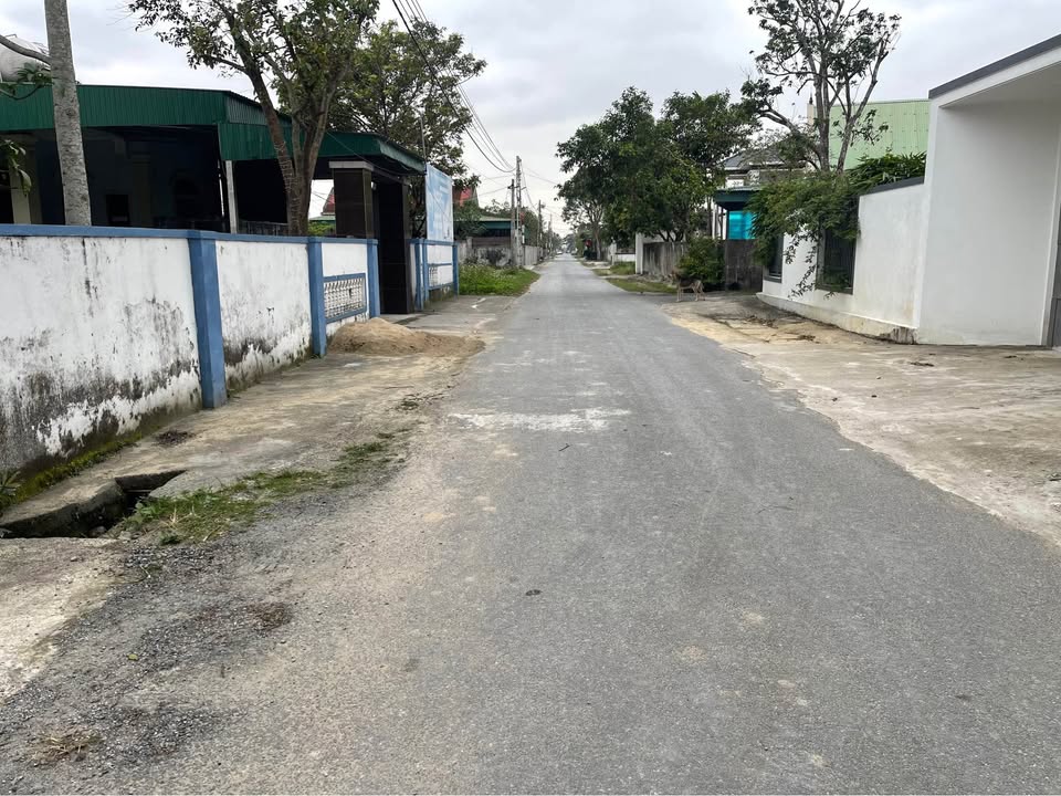 Đất Nghi Thái 101m² giá 2.3 tỷ - Tiềm năng đầu tư lớn!