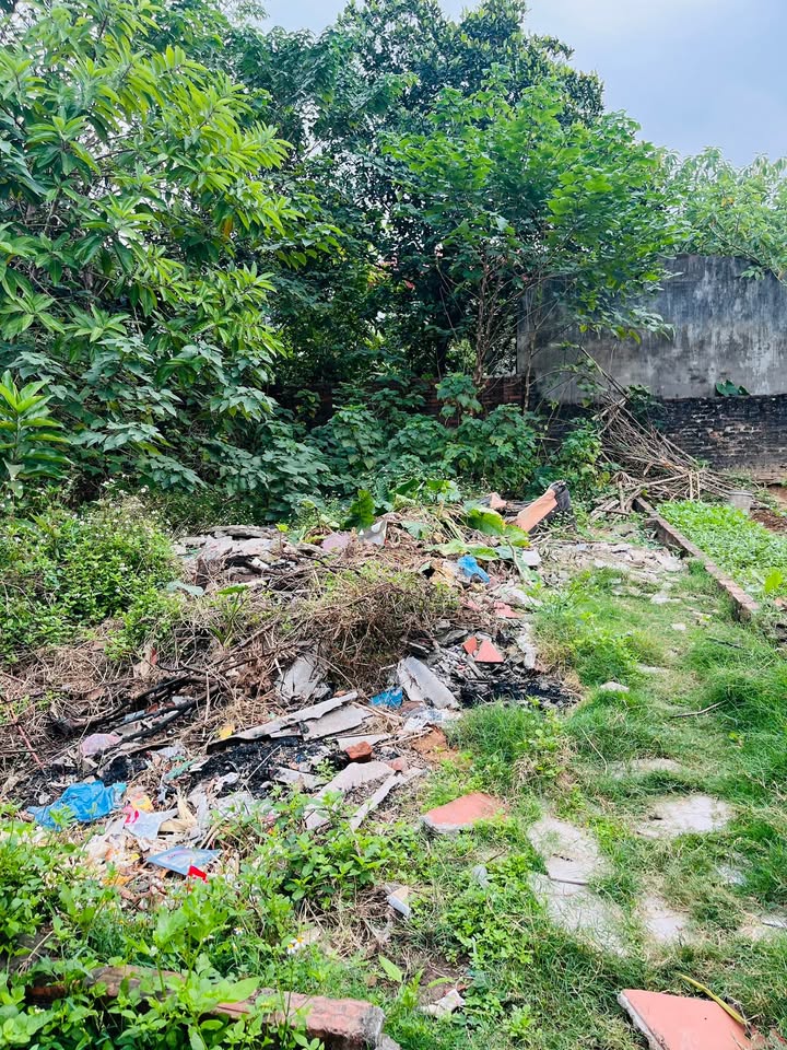 Đất thổ cư Dược Hạ, Sóc Sơn 69m² - Vị trí đẹp, giá hợp lý cho nhà đầu tư!