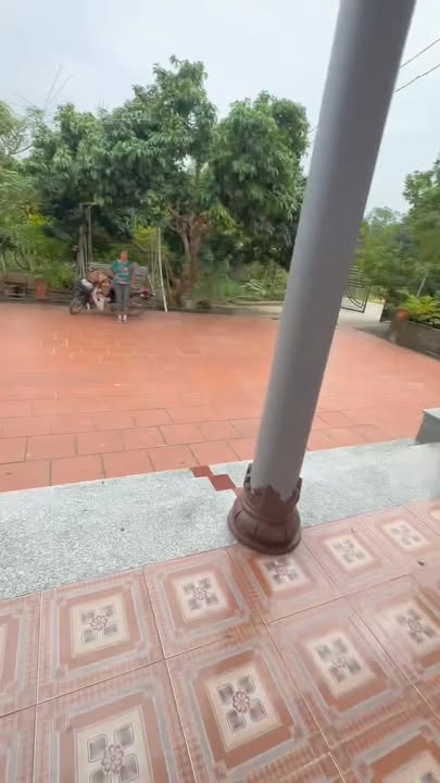 Đất Hợp Đức Tân Yên 760m² chỉ 1.7 tỷ - Nhà 2 tầng kiên cố, sân vườn đẹp!