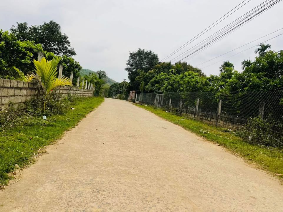 Đất nghỉ dưỡng Mãn Đức Tân Lạc 847m² giá chỉ 1 tỷ - Không gian xanh mát lý tưởng!