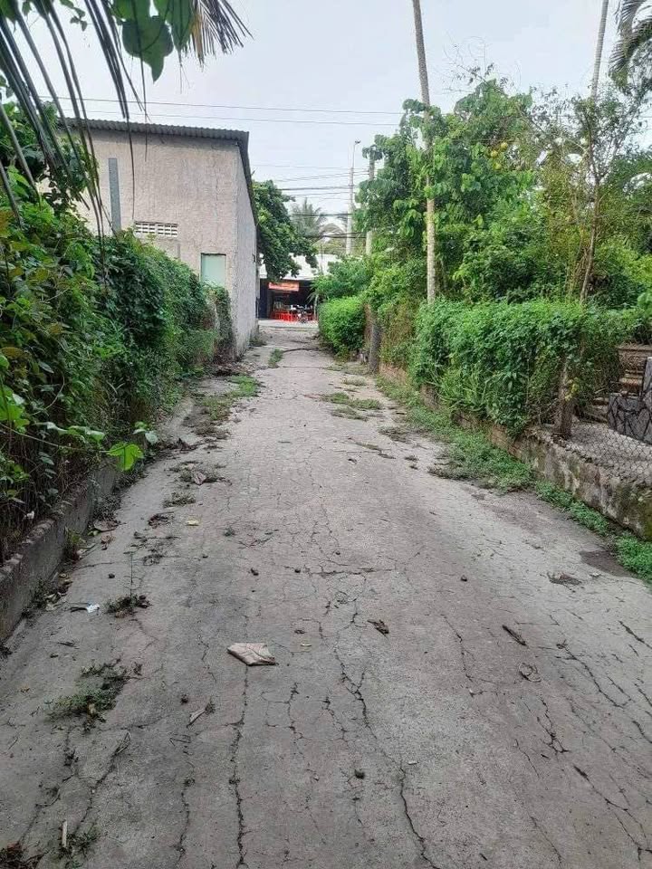 Đất mặt tiền lộ Dal 644m² giá thỏa thuận - Vị trí đẹp, an ninh cao!