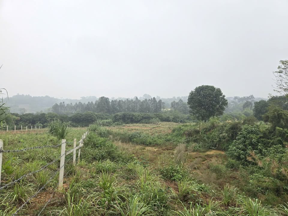 Đất nền Liên Sơn - Lương Sơn 2100m² giá 3 tỷ - Cơ hội đầu tư tuyệt vời!