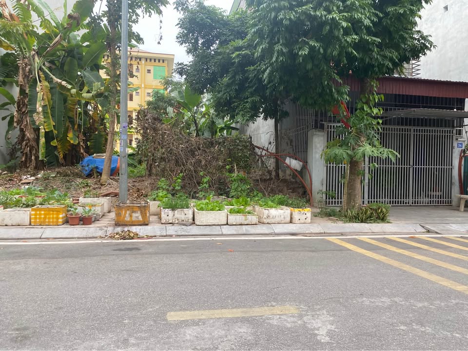 Bán đất Liên Bảo phố Hà Văn Chúc 98,5m² - Sổ đỏ chính chủ, đầu tư sinh lời!