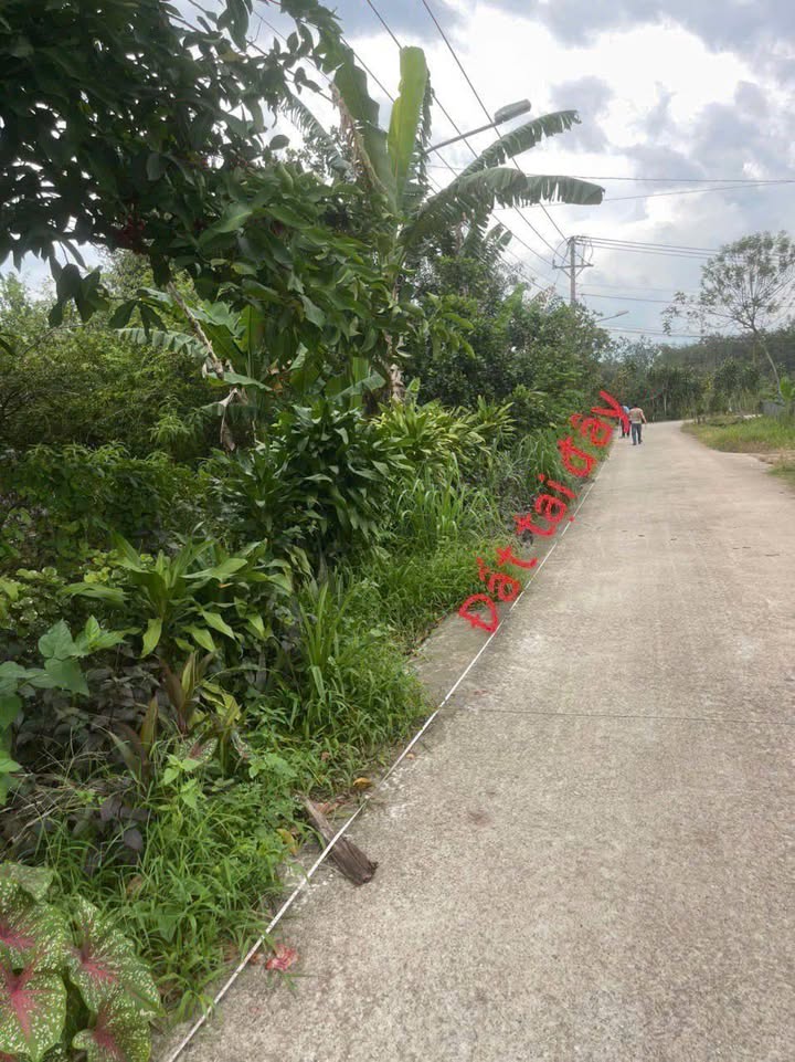 Đất nền Lai Uyên - Bàu Bàng 500m² giá chỉ 1 tỷ - Đầu tư sinh lời ngay!