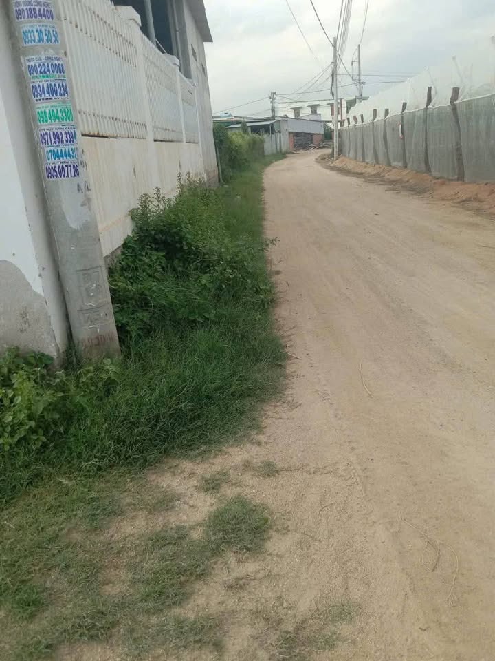 Đất cây lâu năm 1500m² tại Phước Dân, Ninh Thuận - Đầu tư sinh lời hấp dẫn!