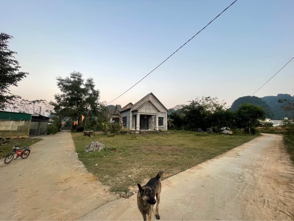 Lô đất thổ cư 1.500m² tại Lạc Lương, Yên Thủy, Hòa Bình - Giá chỉ 2 tỷ, cơ hội không thể bỏ lỡ!