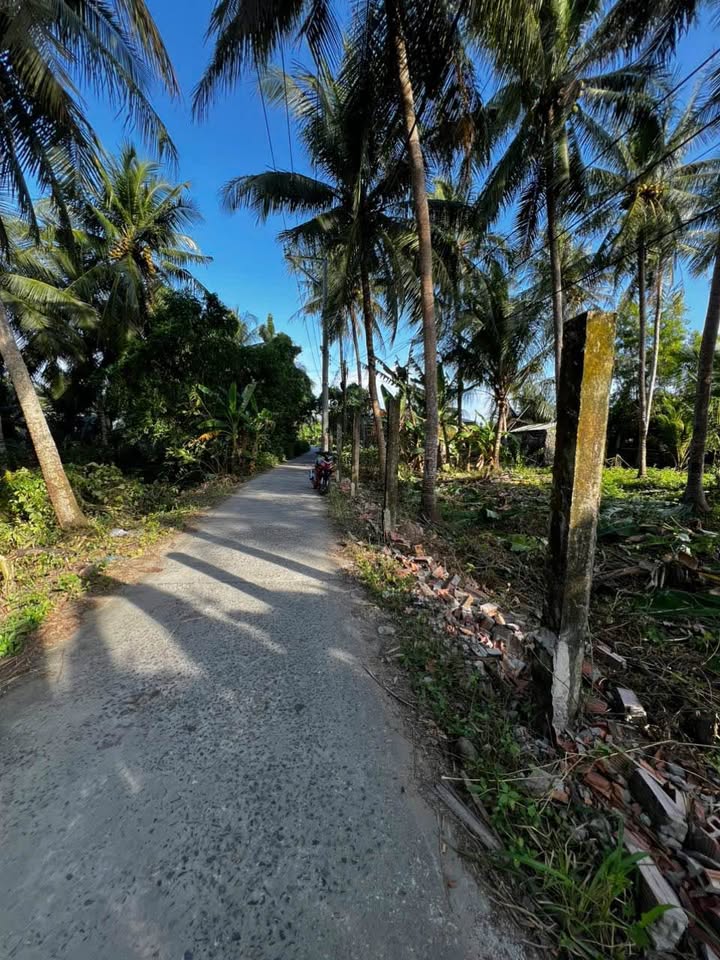 Bán đất giá tốt Ấp Bích Trì, Châu Thành, Trà Vinh 338m² - Pháp lý rõ ràng, sổ hồng riêng!