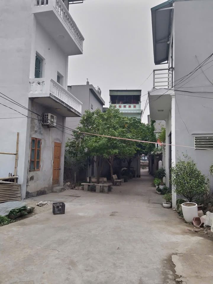 Đất nền Hoàng Diệu Thái Bình 60m² giá 1.2 tỷ - Ngõ ô tô đỗ cửa!