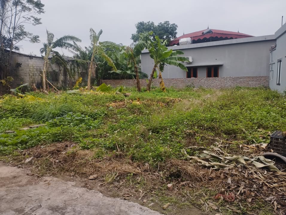 Đất nền Thôn Bương Thượng, Quỳnh Phụ 100m² - Sổ đỏ chính chủ, vị trí đẹp!