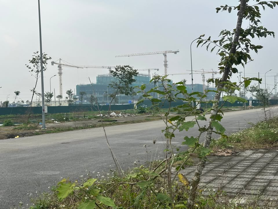 Đất nền Quảng Thành Thanh Hóa 60m² giá 1 tỷ - Đầu tư hiếm có gần AEON Mall!