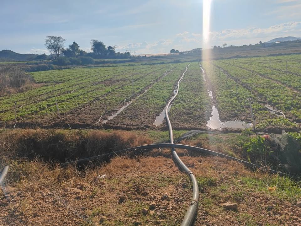 Đất nông nghiệp 3.139m² tại xã Đức Trọng - Giá chỉ 2,3 tỷ, pháp lý rõ ràng!