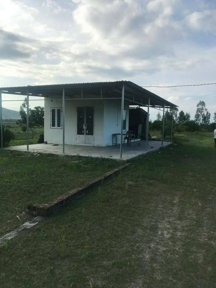 Trang trại Dừa Ninh Hưng 16.388m² giá 3,5 tỷ - Đầu tư sinh lời hiệu quả!