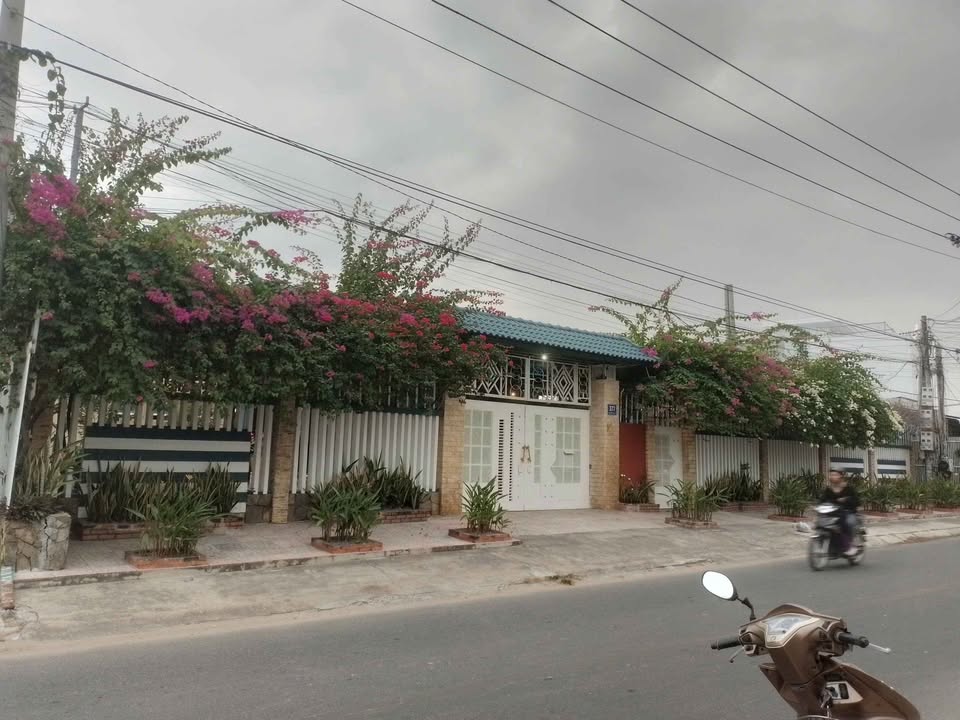 Bán gấp town house tại Phan Thiết 874m² - Mặt tiền 30m đường Hải Thượng Lãn Ông!