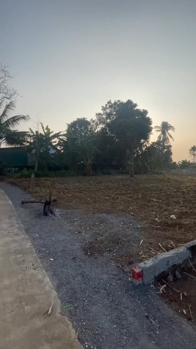 Đất nền Nghĩa Lâm 224m² - Phong thủy tốt, gần chợ và trường học!