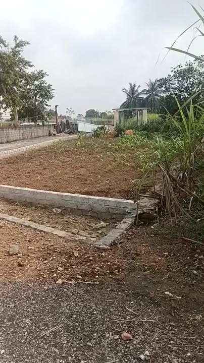 Đất nền xã Tam Hợp, Quỳ Hợp 202m² giá 400 triệu - Cơ hội đầu tư lý tưởng!