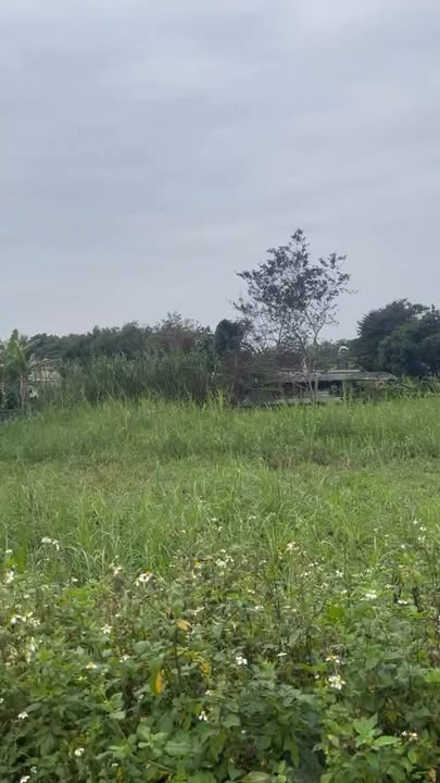 Đất thổ cư Châu Quang - Quỳ Hợp 432m² giá thỏa thuận - Cần bán gấp!