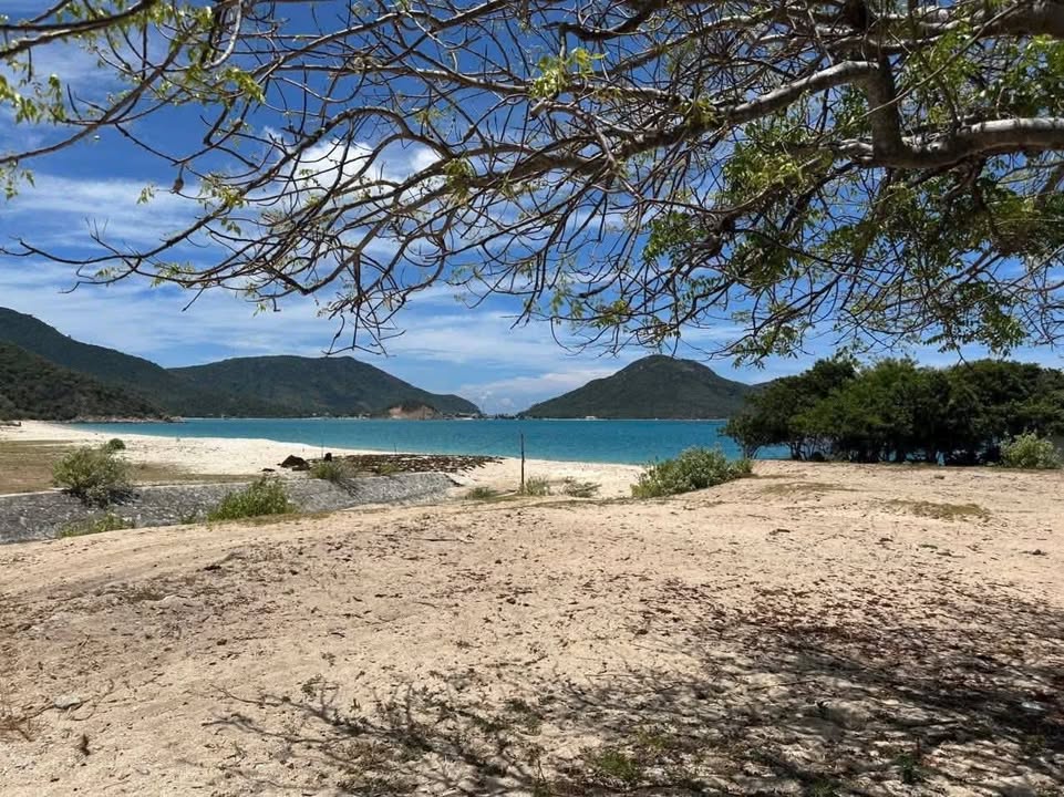 Homestay Ninh Vân 397m² giá 3 tỷ - Cơ hội đầu tư hấp dẫn!