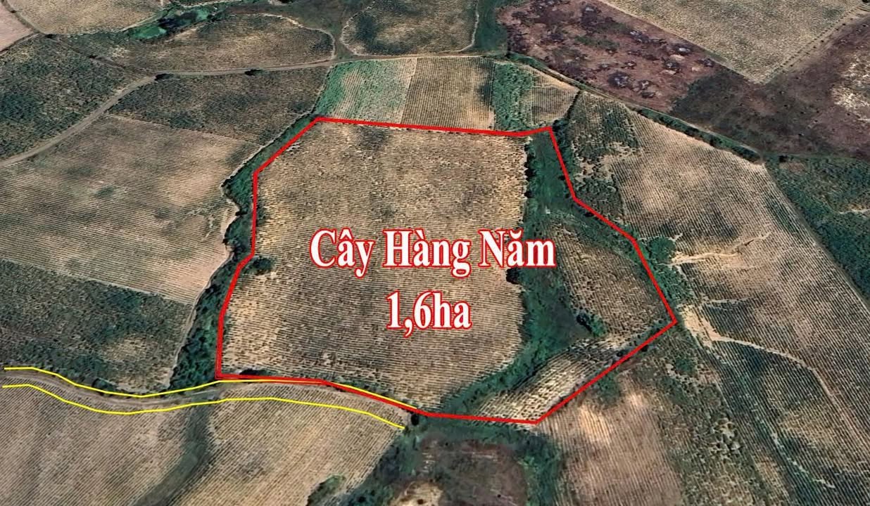 Đất Farm Ninh Sim, Ninh Hòa 1,6ha giá 500 triệu - Cơ hội đầu tư tuyệt vời!